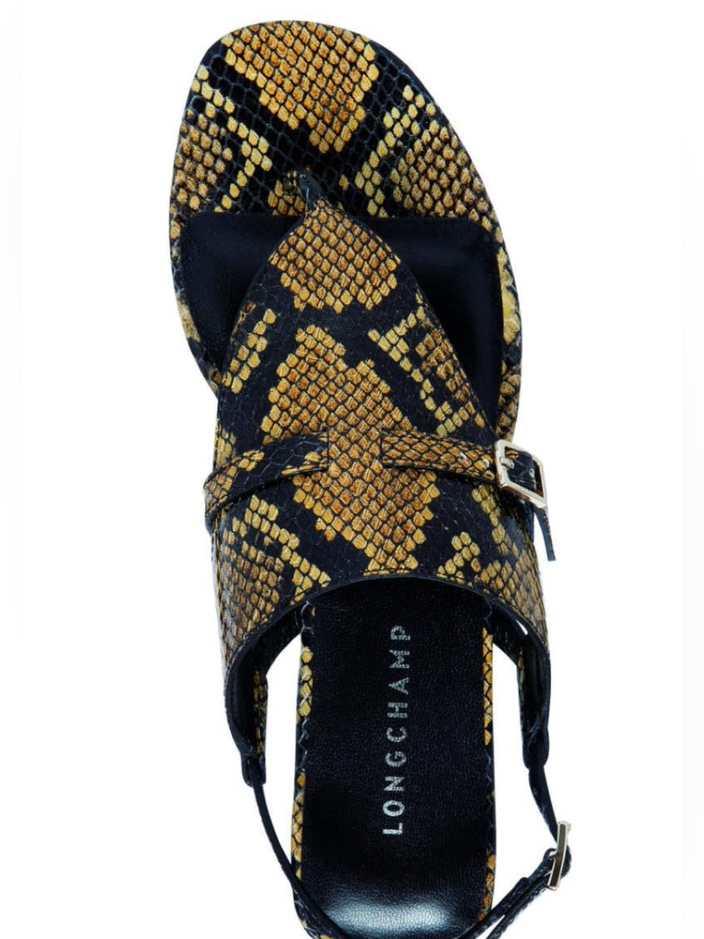 Leather Snake-Print Sandal in Black & Gold - CHAMP